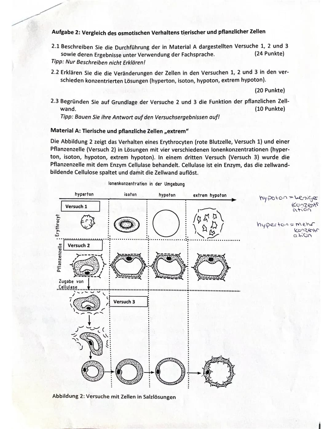 Klausur 1 EF/1
Biologie, Grundkurs 2021
Bitte achten Sie auf einen Korrekturrand (10 cm) und nummerieren Sie jede Seite.
Aufgabe 1: Ein Blic