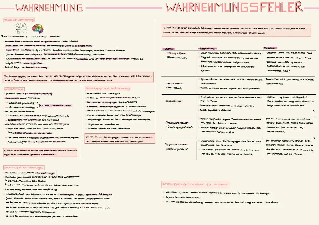 Wahrnehmungsfehler und Wahrnehmung: Einfach erklärt für Kids