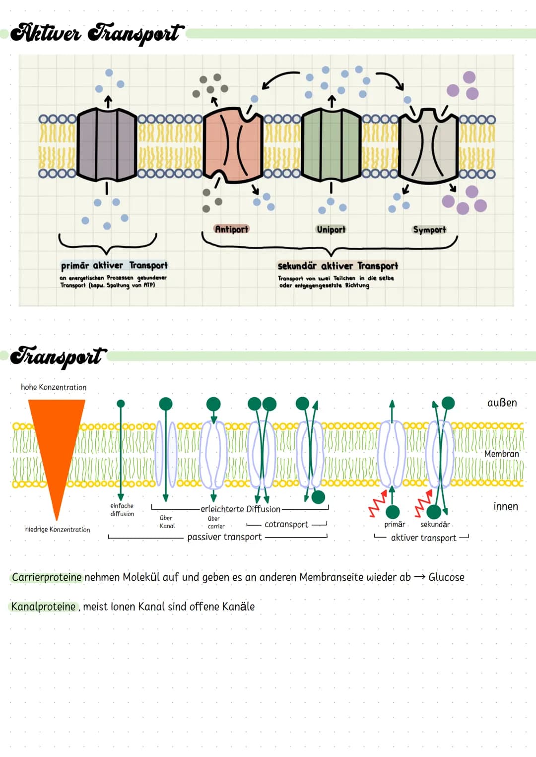 Diffusion
Diffusion ist der ohne äußere Einwirkung eintretende Ausgleich von Konzentrationsunterschieden in
Flüssigkeiten oder Gasen aufgrun