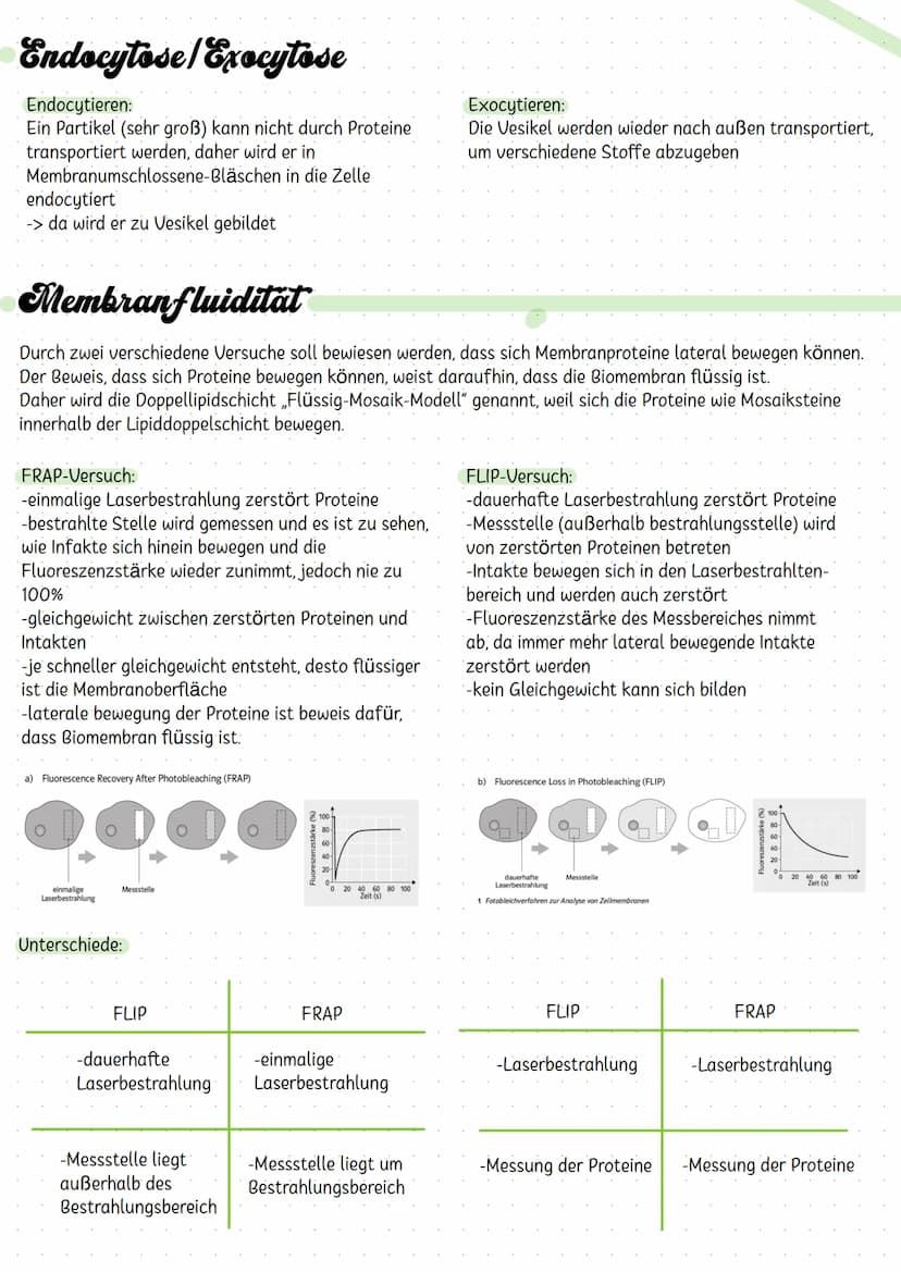 Diffusion
Diffusion ist der ohne äußere Einwirkung eintretende Ausgleich von Konzentrationsunterschieden in
Flüssigkeiten oder Gasen aufgrun