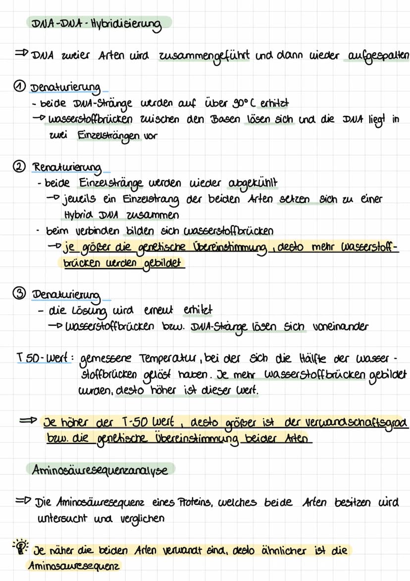 Tarnen, warnen, täuschen
Tamung nicht wehrhaft
warung = wehrhaft
Bates's che
Mimikry
> Nachahmung von warntrachten.
> Nachahmen einer gefähr