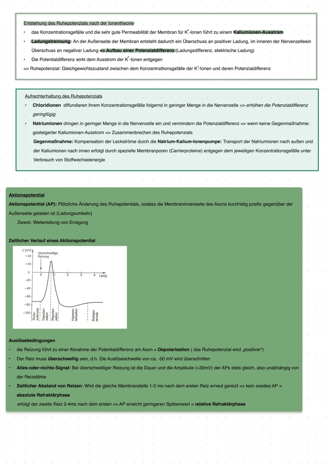 Neurobiologie
Nervenzellen (Neuronen) als Baustein des Nervensystems
Nervenzellen sind spezialisierte Zellen -> Bau der Nervenzellen
Spannun