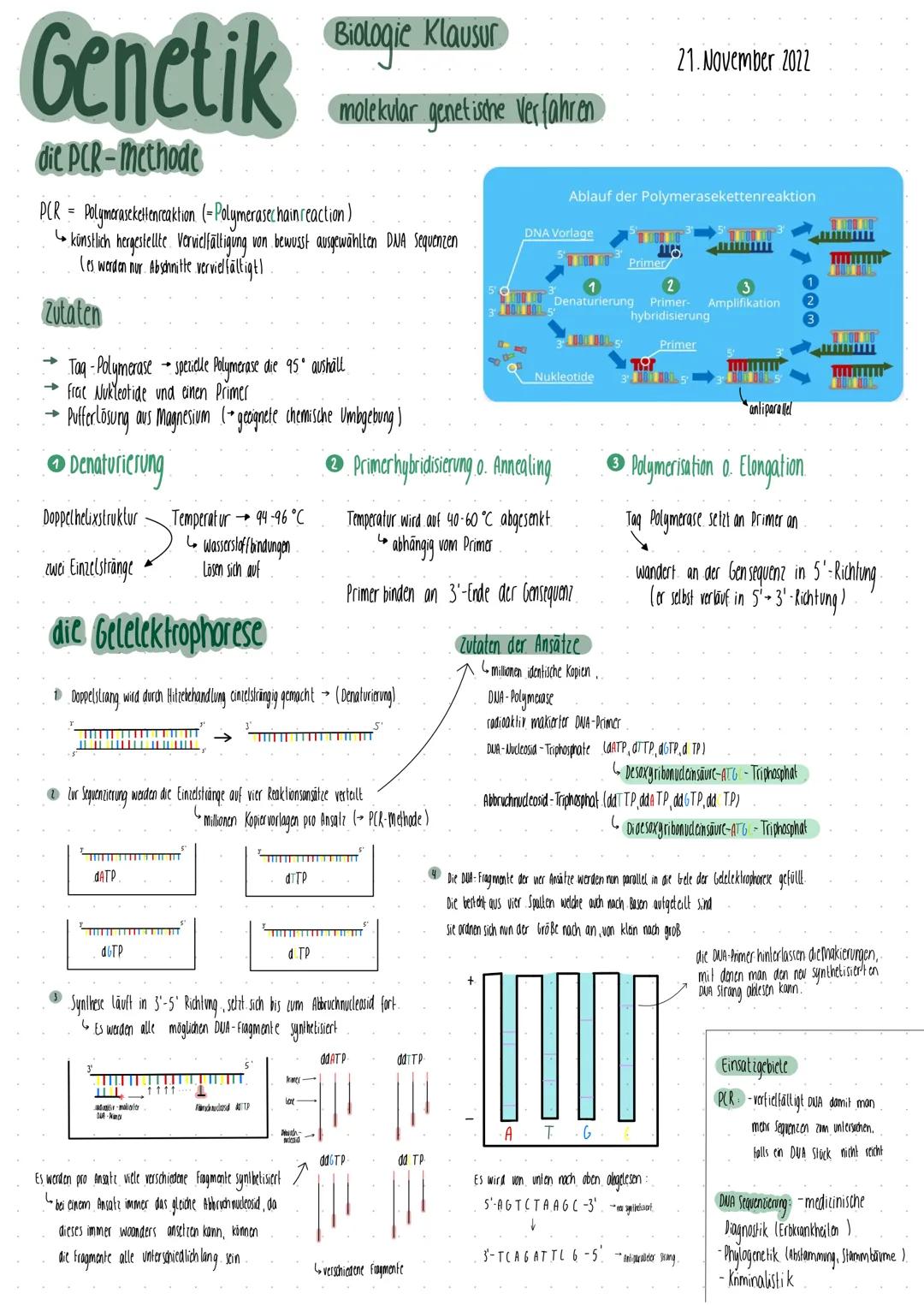 Genetik
die DNA
DWA (gl.) Desoxyribonucleid acid.
DWS (dent.) Desoxyribonukleinsäure
bilden Basenpaase
ergänzen sich genseitig
Träger der Er