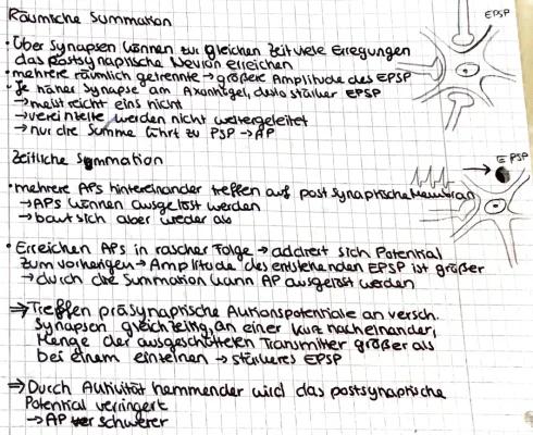 Know Räumliche und zeitliche Summation thumbnail