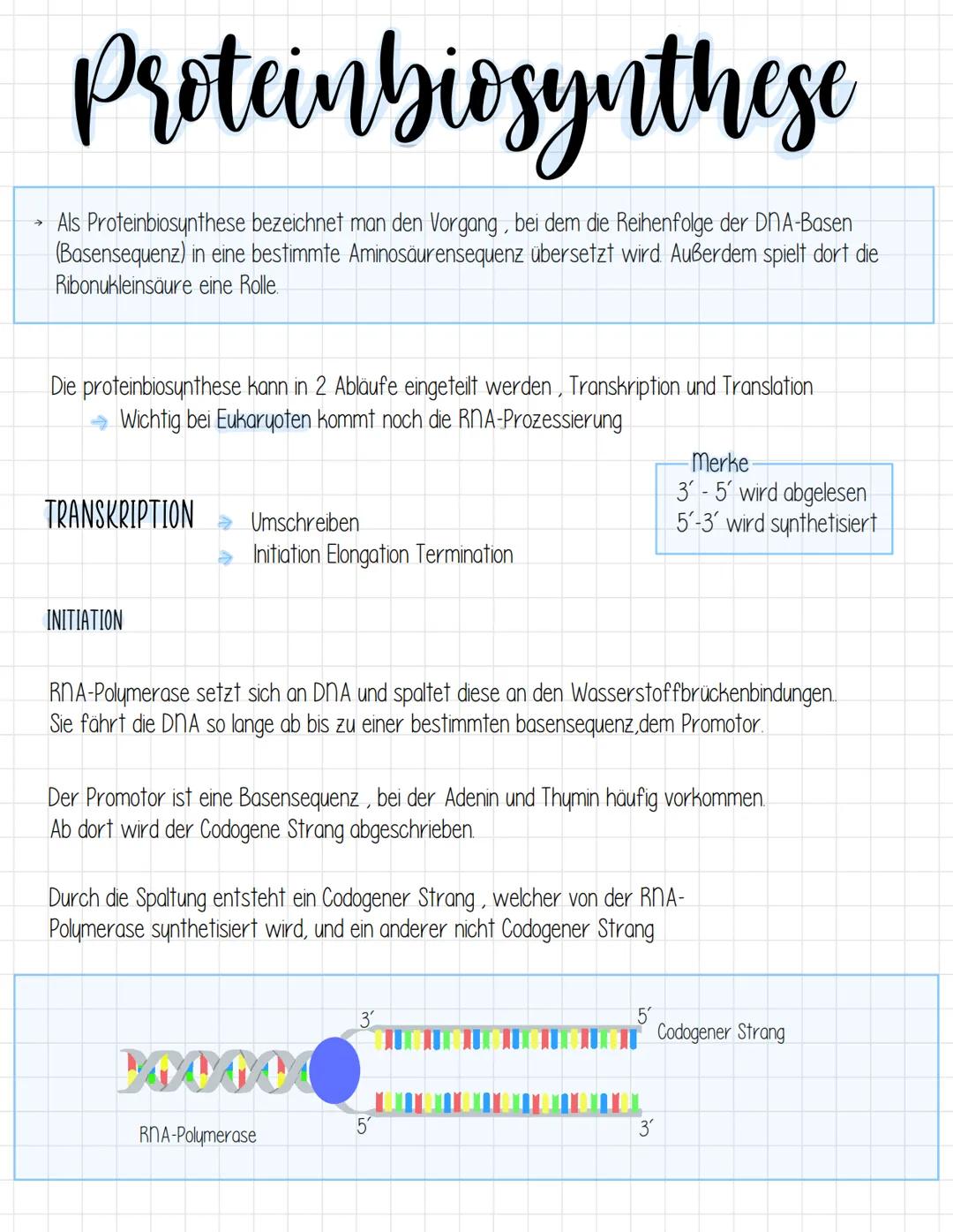 →
Proteinbiosynthese
Als Proteinbiosynthese bezeichnet man den Vorgang, bei dem die Reihenfolge der DNA-Basen
(Basensequenz) in eine bestimm