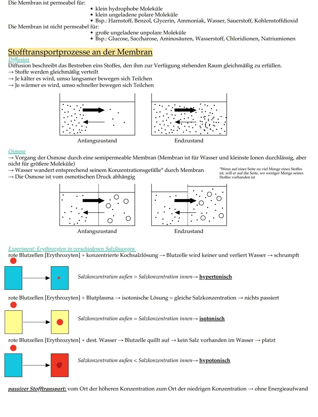 Merkmale der Lebewesen
• Wachstum
• Fortpflanzung
• Bewegung
• Ernährung
• Stoffwechsel
Ausscheidung
• Reizbarkeit
. (Lebewesen) bestehen au