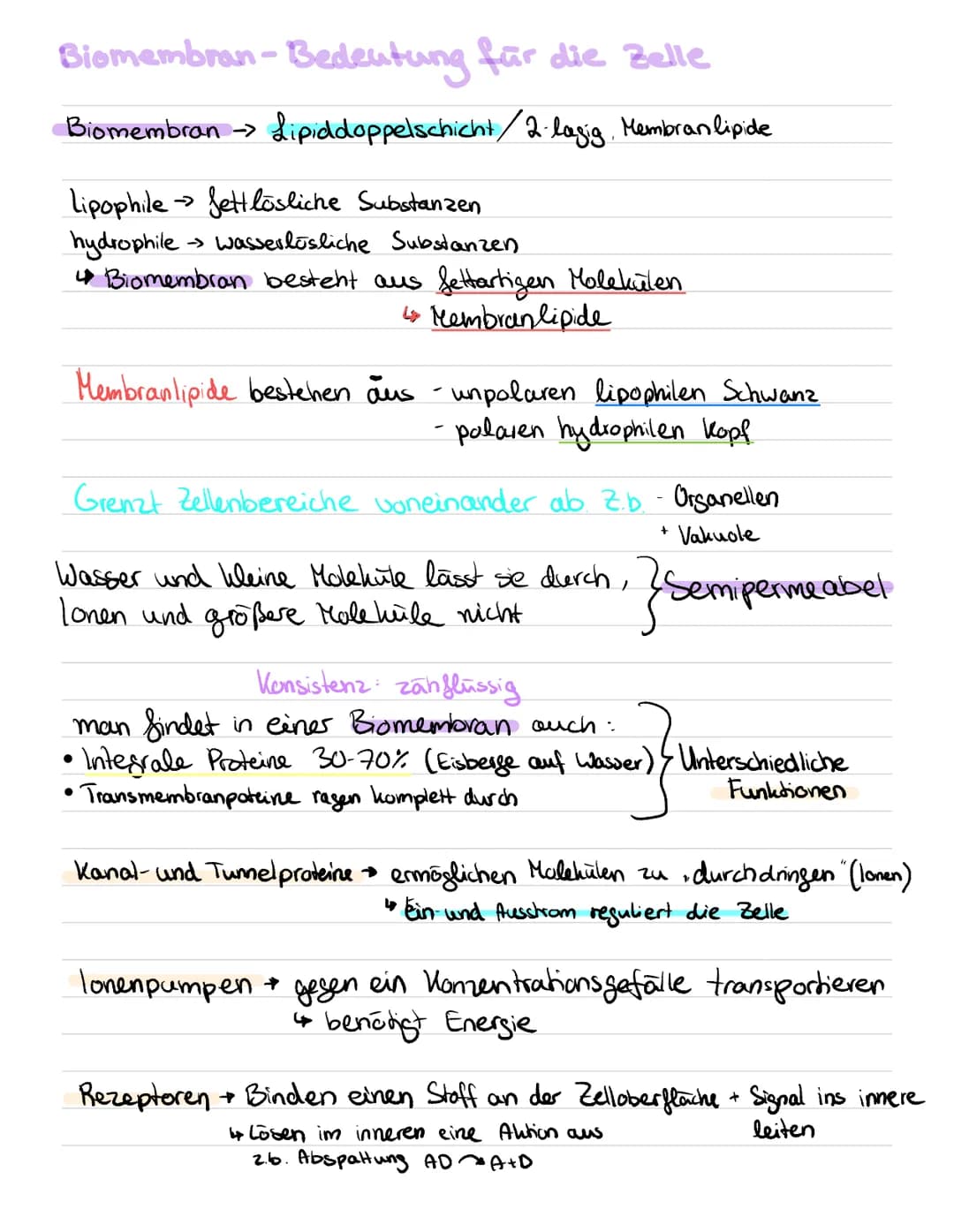 Onc
ш
XXX
xxxxXxXx
E+S → [ES] →→E+P]
Substrale
XV
Елъут
Kohlenhydralseitenketten
Proteine
i links
Kathalproteine
2 rechts
Rezeptoren
CD
neue