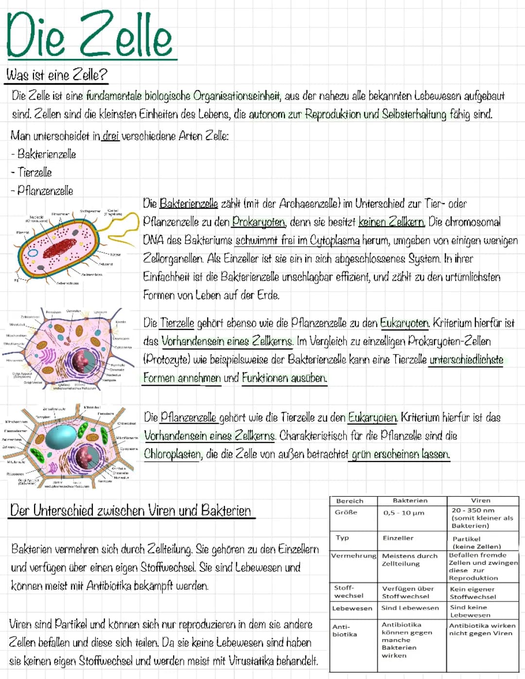 Zelle	