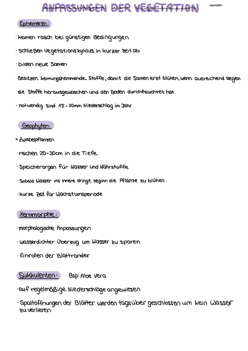 Erdkunde 11/2
Klimamorphologische Aspekt: Die Arbeit des Windes - äolischer Formenschatz
1.
II.
Abtragungskräfte:
-
äolische Abtragung
große
