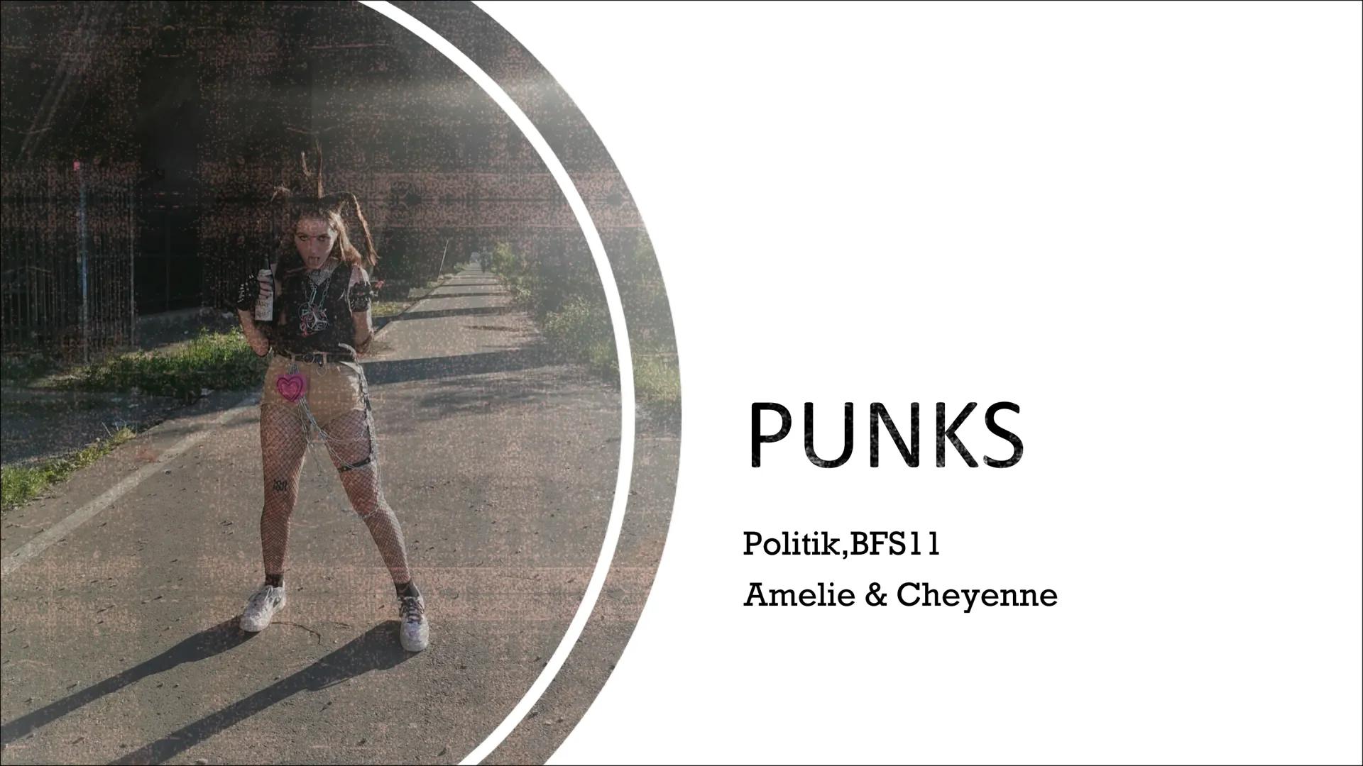 PUNKS
Politik, BFS11
Amelie & Cheyenne INHALTSVERZEICHNIS
▪ Vorurteile gegen Punks
Entstehung
▪ Punk in Deutschland
■
Punks in der Politik
▪