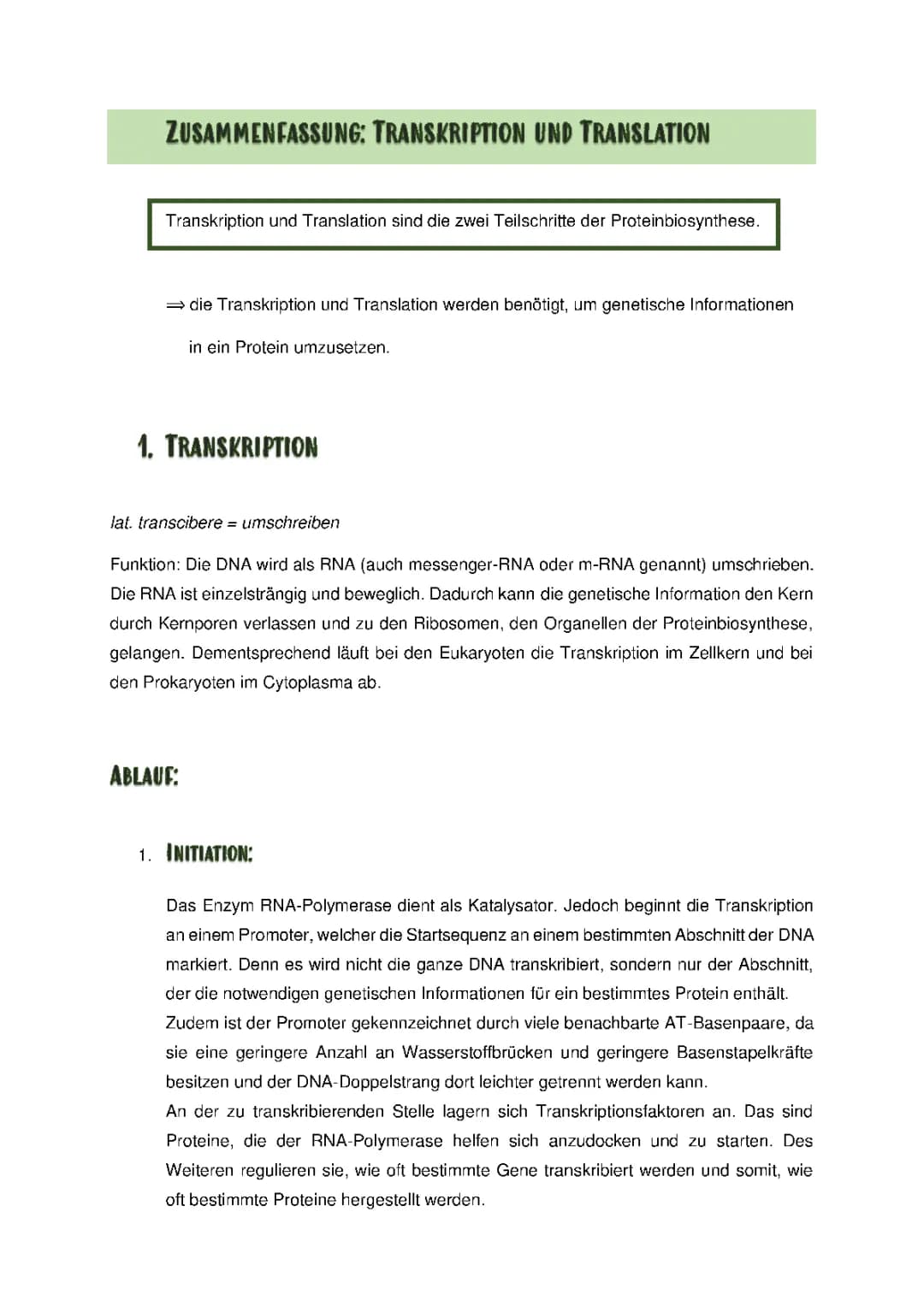 Transkription und Translation 
