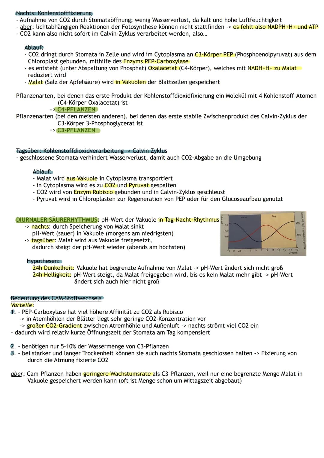 Bedeutung
Umwandlung von Licht in
chemisch gebundene Energie
Chemocuuto
Sauerstoff
2 Kreislauf von
Kohlenstoff und
A
Į
Primärprozesse
Wärme
