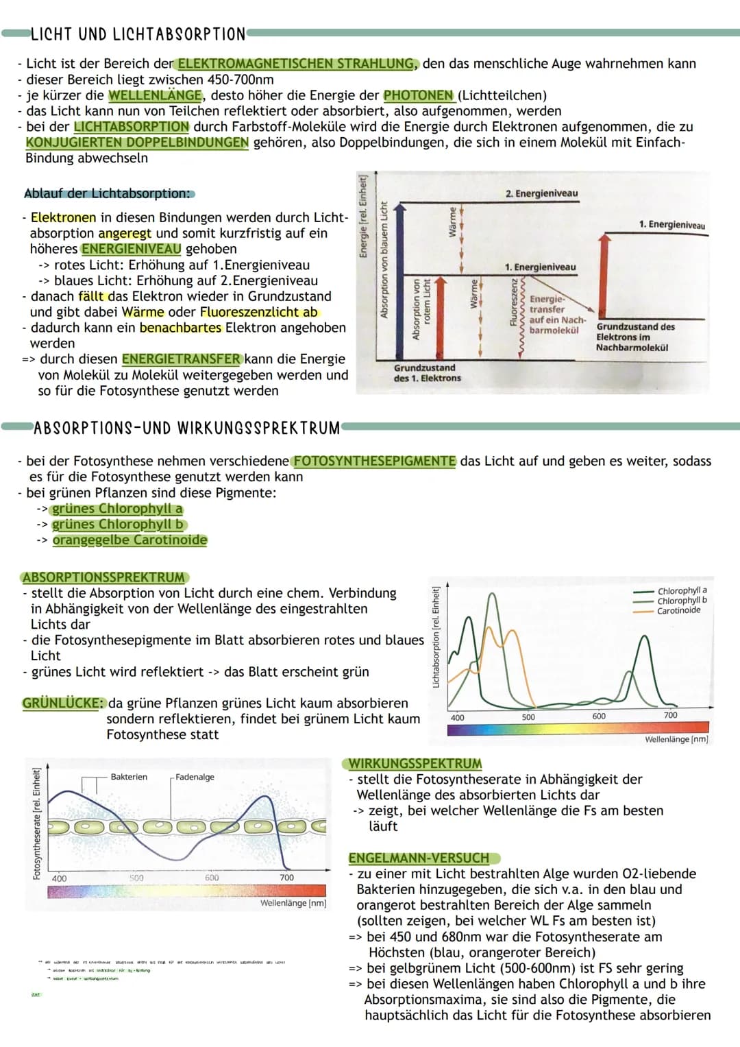 Bedeutung
Umwandlung von Licht in
chemisch gebundene Energie
Chemocuuto
Sauerstoff
2 Kreislauf von
Kohlenstoff und
A
Į
Primärprozesse
Wärme
