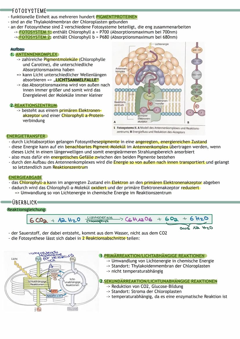 Bedeutung
Umwandlung von Licht in
chemisch gebundene Energie
Chemocuuto
Sauerstoff
2 Kreislauf von
Kohlenstoff und
A
Į
Primärprozesse
Wärme
