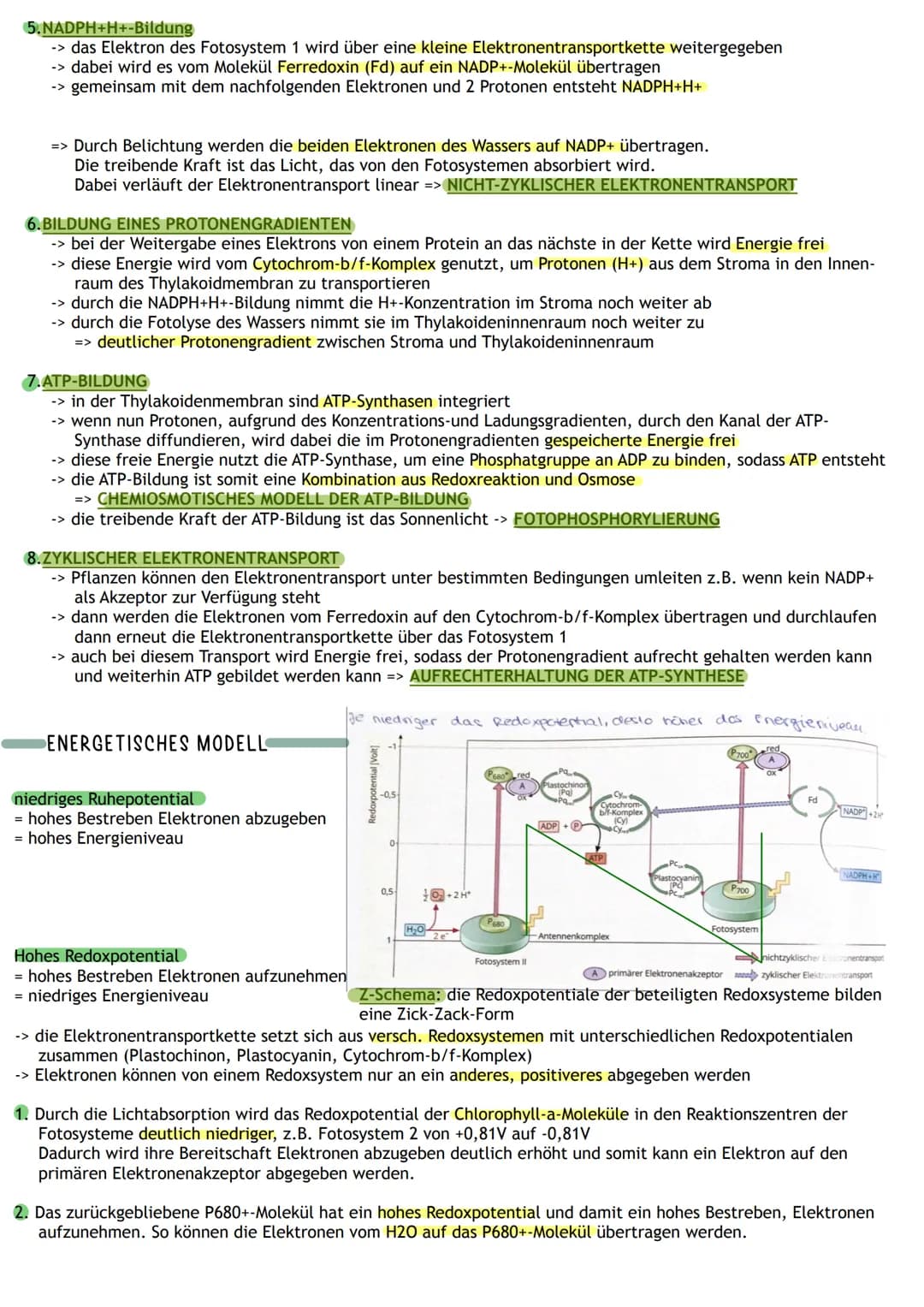 Bedeutung
Umwandlung von Licht in
chemisch gebundene Energie
Chemocuuto
Sauerstoff
2 Kreislauf von
Kohlenstoff und
A
Į
Primärprozesse
Wärme
