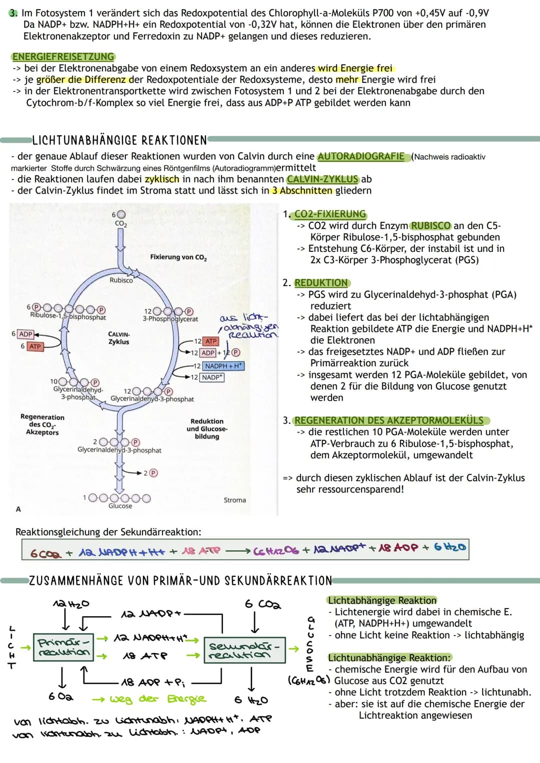 Bedeutung
Umwandlung von Licht in
chemisch gebundene Energie
Chemocuuto
Sauerstoff
2 Kreislauf von
Kohlenstoff und
A
Į
Primärprozesse
Wärme
