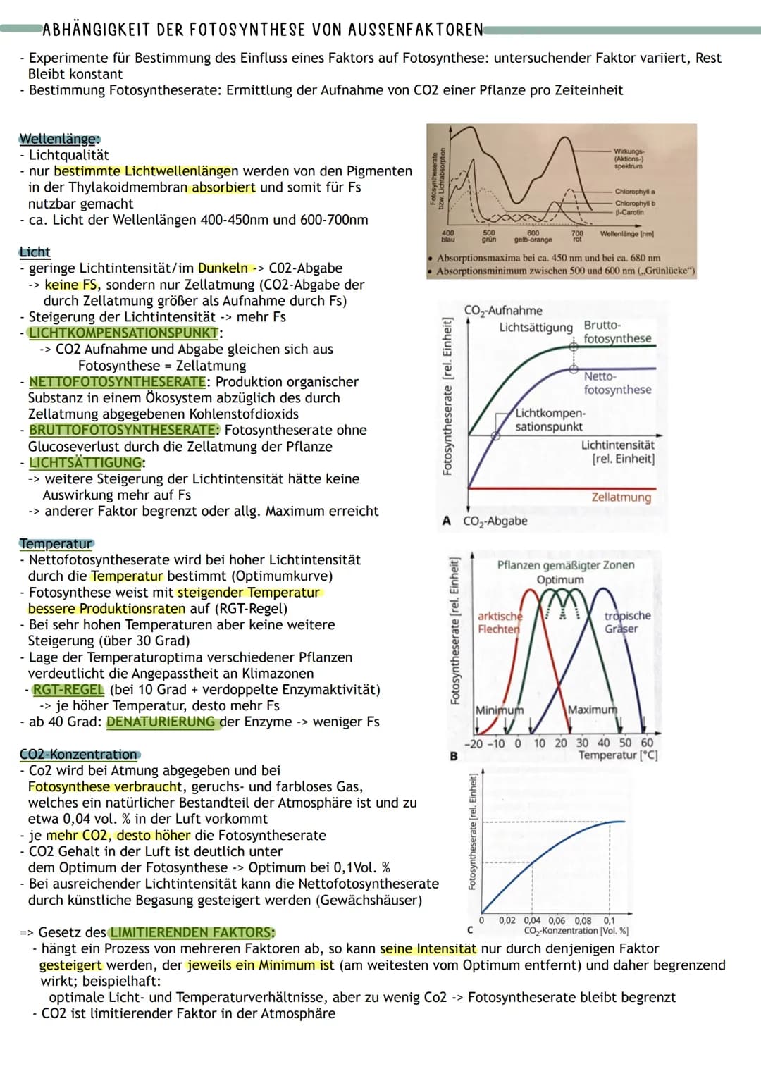 Bedeutung
Umwandlung von Licht in
chemisch gebundene Energie
Chemocuuto
Sauerstoff
2 Kreislauf von
Kohlenstoff und
A
Į
Primärprozesse
Wärme
