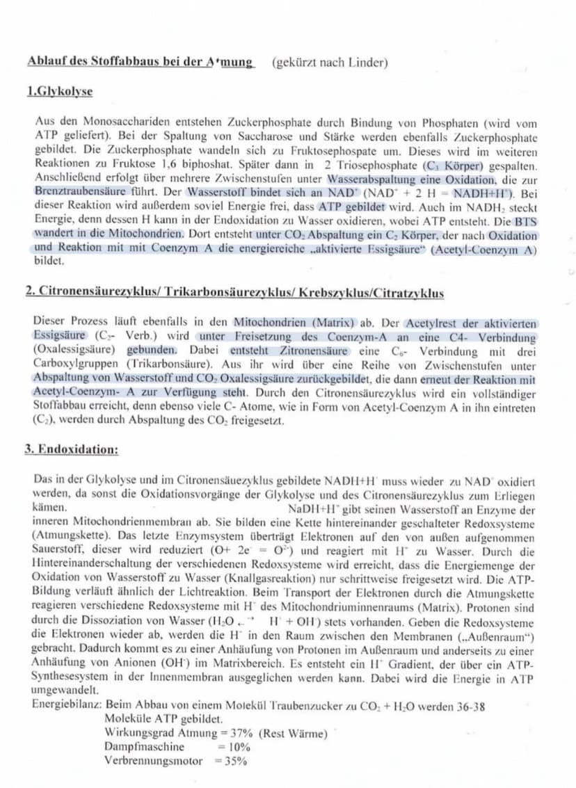 DISSIMILATION
→ Abbau körpereigener organischer Stoffe unter Freisetzung von Energie
aerob: Atmung
vollständiger Abbau organischer Stoffe zu
