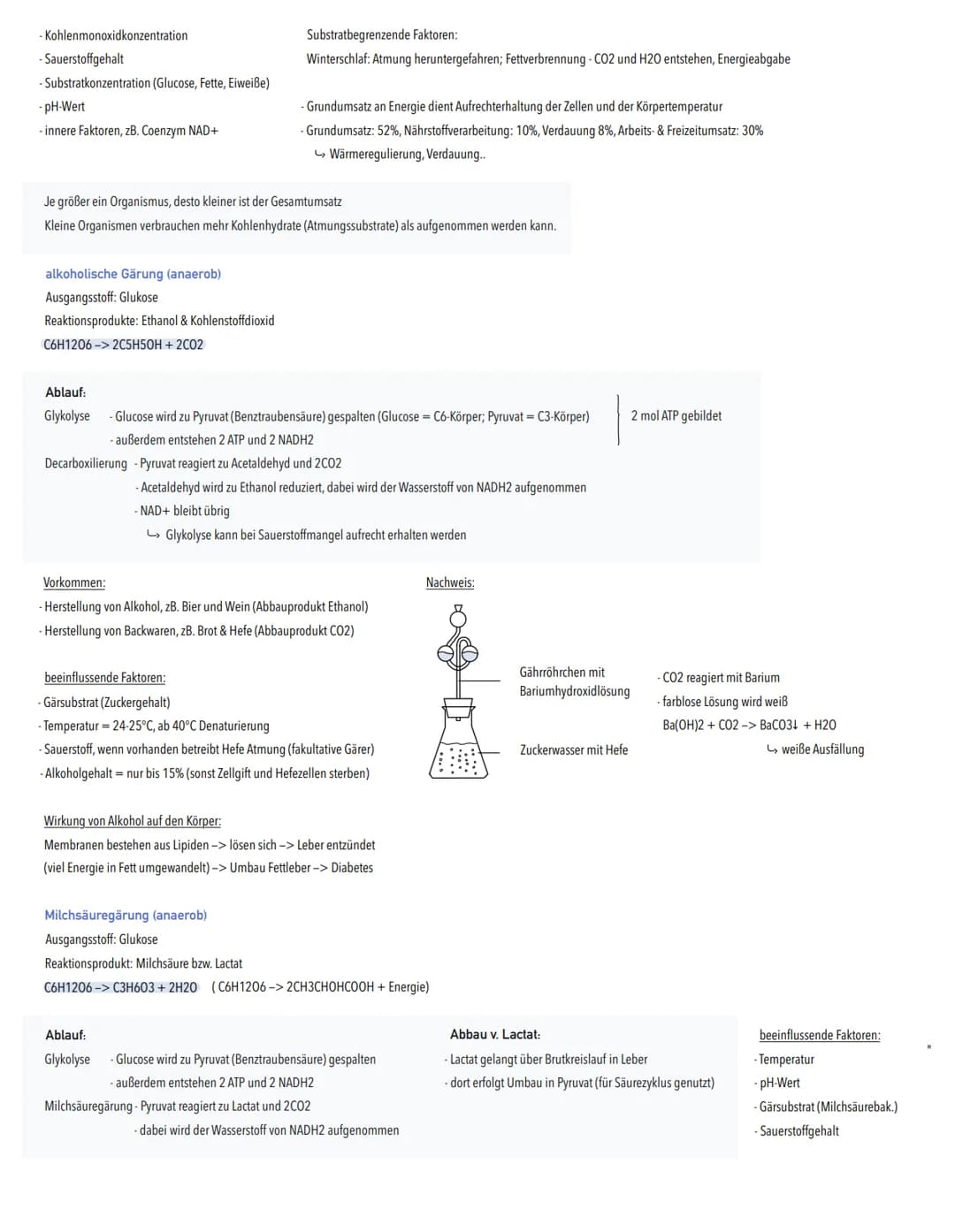 DISSIMILATION
→ Abbau körpereigener organischer Stoffe unter Freisetzung von Energie
aerob: Atmung
vollständiger Abbau organischer Stoffe zu