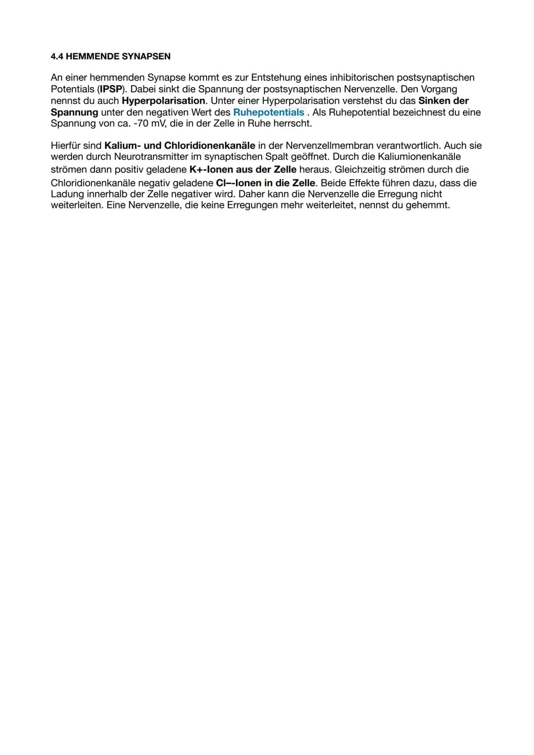 Themen LN 1
1) Bau und Funktion Nervenzelle
2) Ruhepotential und Aktionspotential
3) Weiterleitung des Aktionspotentials: kontinuierliche un