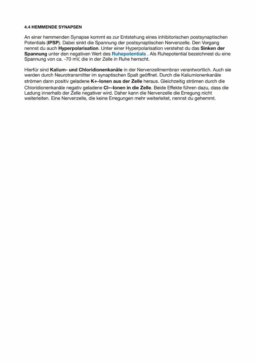 Themen LN 1
1) Bau und Funktion Nervenzelle
2) Ruhepotential und Aktionspotential
3) Weiterleitung des Aktionspotentials: kontinuierliche un