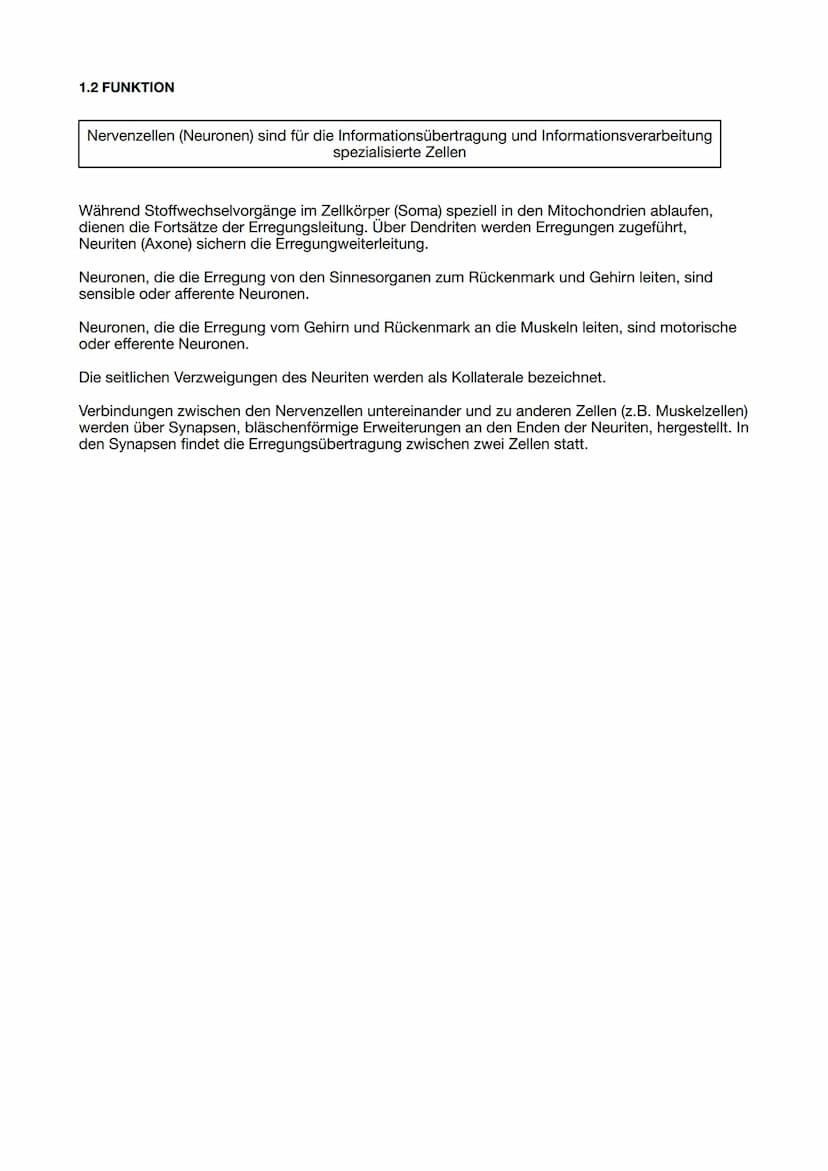 Themen LN 1
1) Bau und Funktion Nervenzelle
2) Ruhepotential und Aktionspotential
3) Weiterleitung des Aktionspotentials: kontinuierliche un