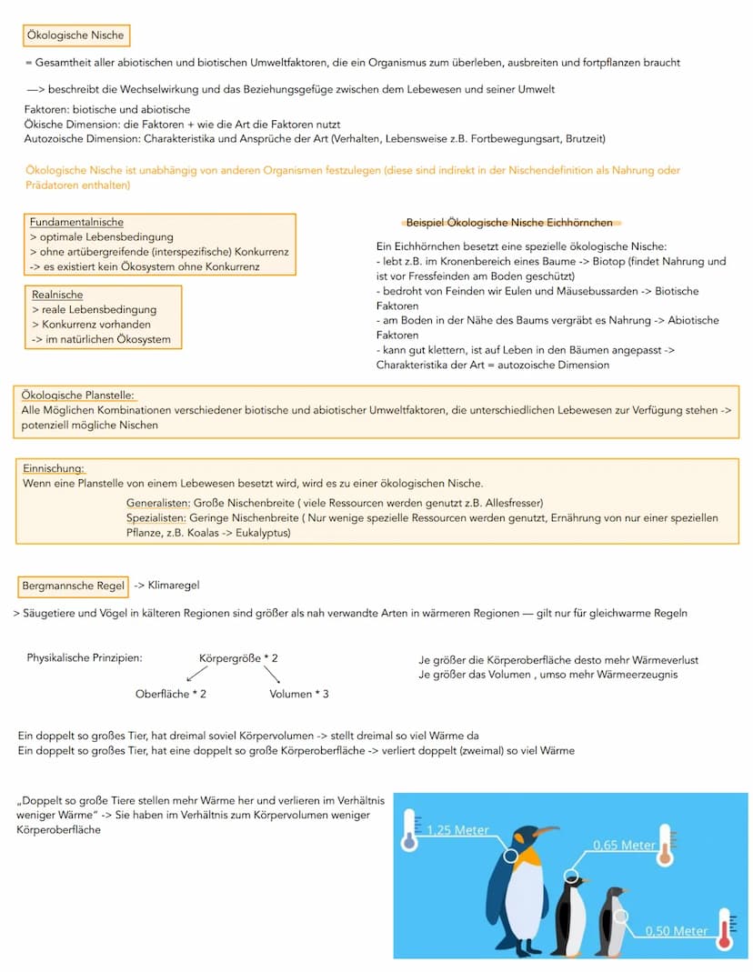 Biotische Faktoren:
-> Umweltfaktoren, an denen Lebewesen
beteiligt sind
Konkurrenz
- Symbiose
- Parasitismus
1. Umweltfaktoren und ökologis