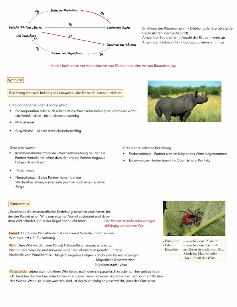 Biotische Faktoren:
-> Umweltfaktoren, an denen Lebewesen
beteiligt sind
Konkurrenz
- Symbiose
- Parasitismus
1. Umweltfaktoren und ökologis