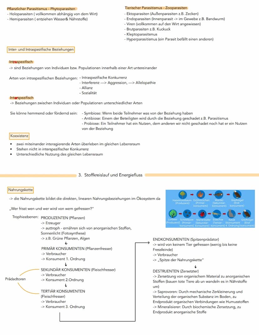 Biotische Faktoren:
-> Umweltfaktoren, an denen Lebewesen
beteiligt sind
Konkurrenz
- Symbiose
- Parasitismus
1. Umweltfaktoren und ökologis