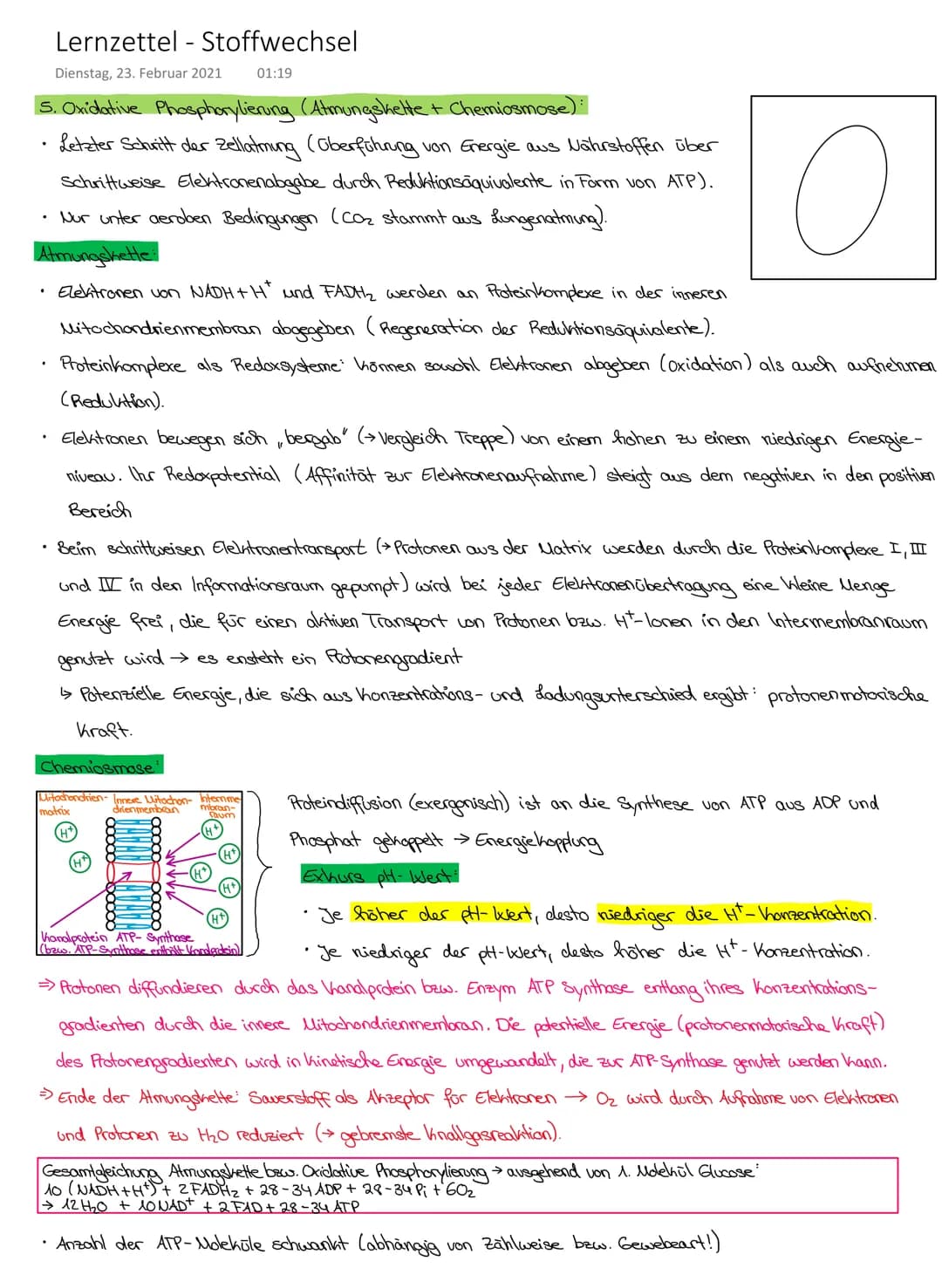 Lernzettel - Stoffwechsel
Dienstag, 23. Februar 2021 12:31
9. Energiebereitstellung und Aktivität
Grundumsatz Energiemenge, die in völliger 