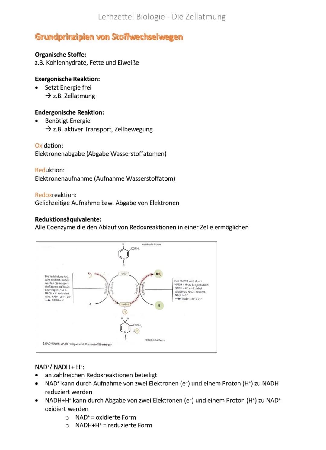 Das Mitochondrium
●
Kommen nur in Eukaryorten vor
Christae-Typ = Starke Faltung → Oberflächenvergrößerung
1
2 Bau von Mitochondrien
Aufgaben