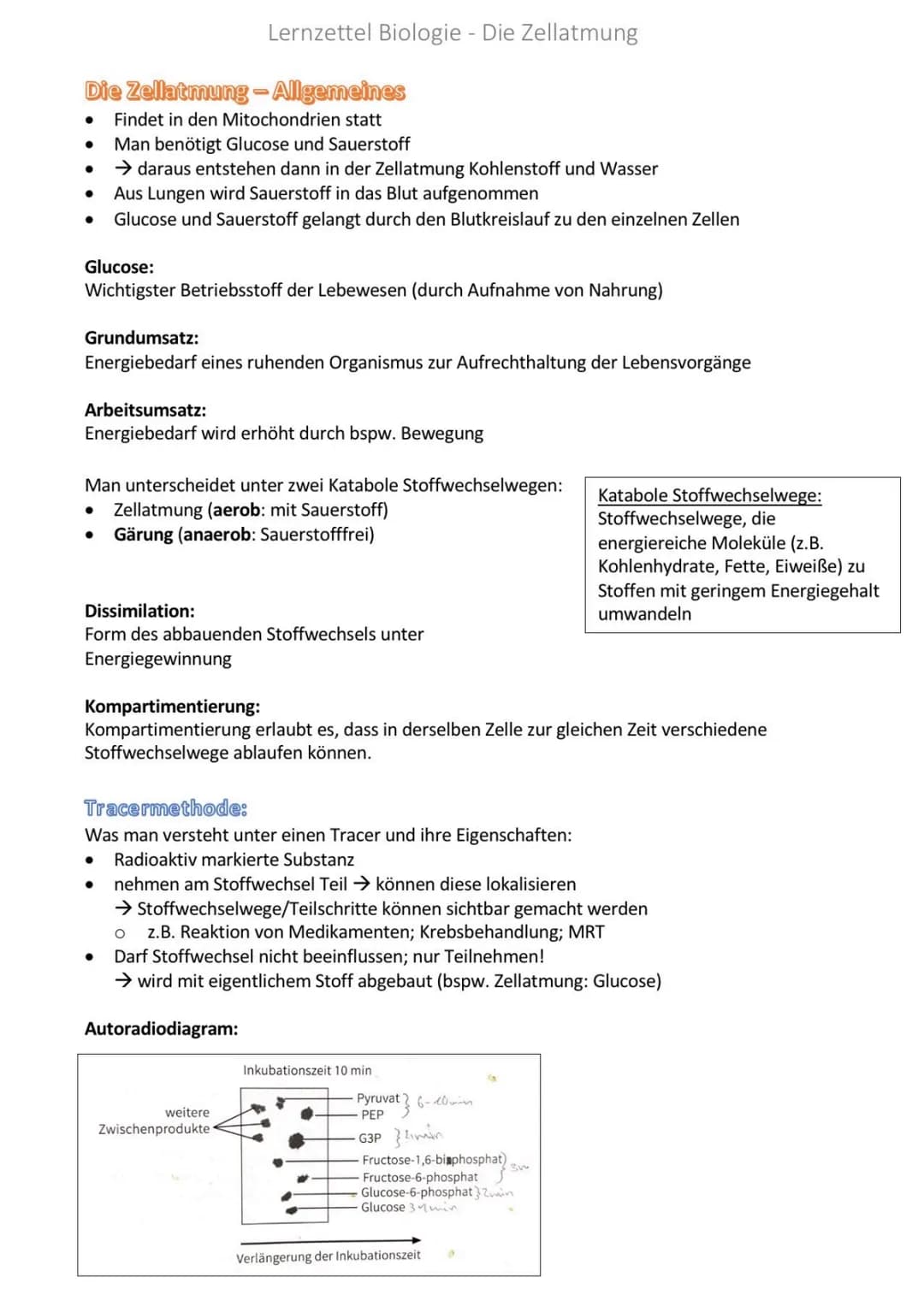 Das Mitochondrium
●
Kommen nur in Eukaryorten vor
Christae-Typ = Starke Faltung → Oberflächenvergrößerung
1
2 Bau von Mitochondrien
Aufgaben