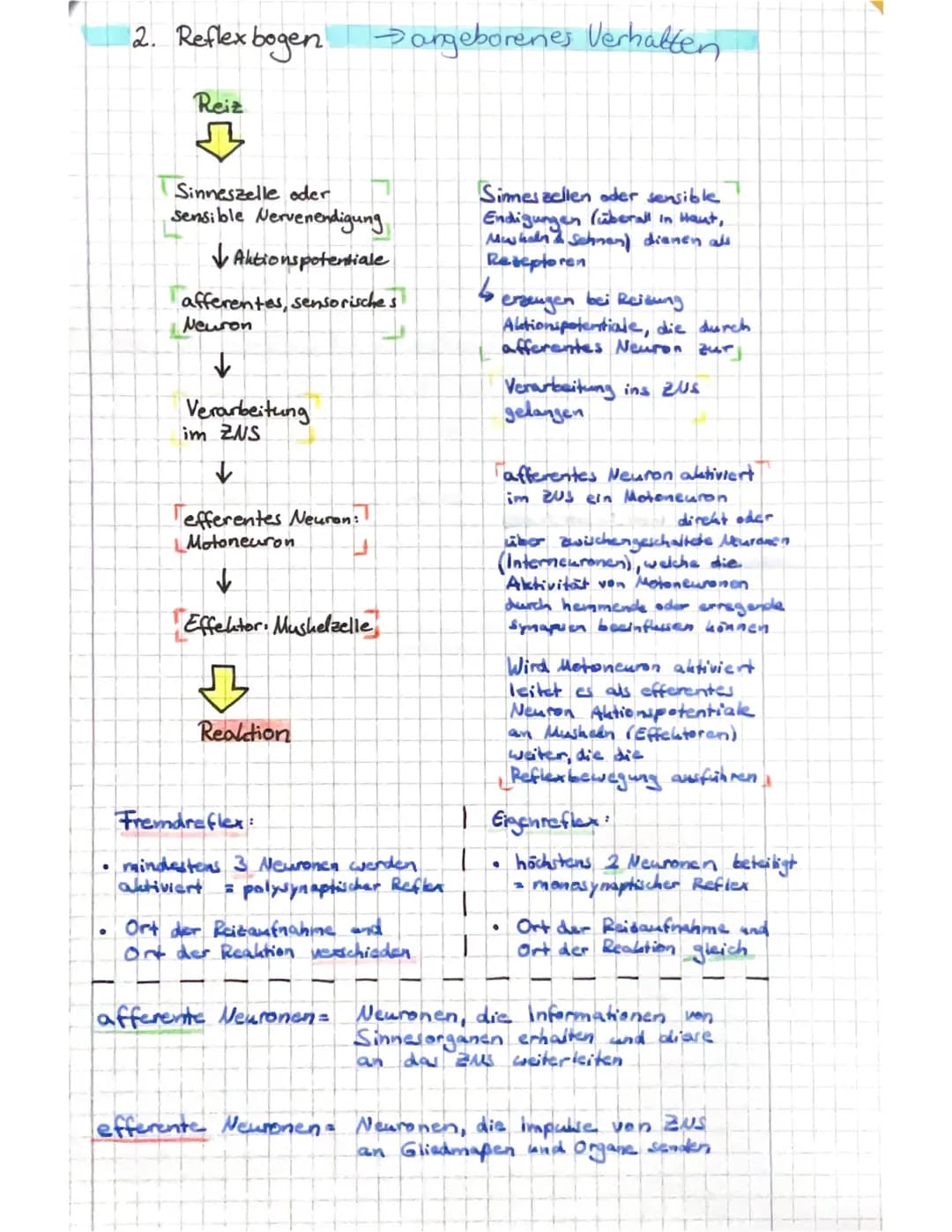 Biologie
Definition Verhalten:
Hierzu zählen.
●
Q3.2
alle von Tier und Mensch gezeigten
Aktionen & Reaktionen, die durch
Prozesse innerhalb 
