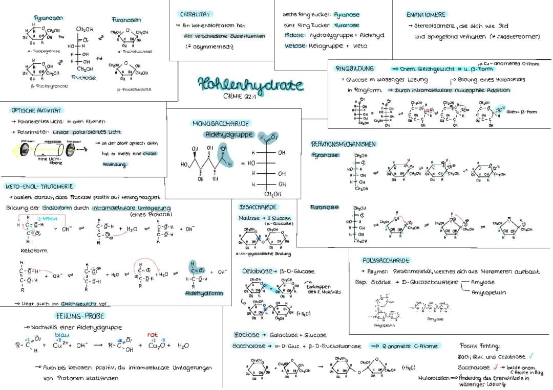 Kohlenhydrate (Chemie LK)