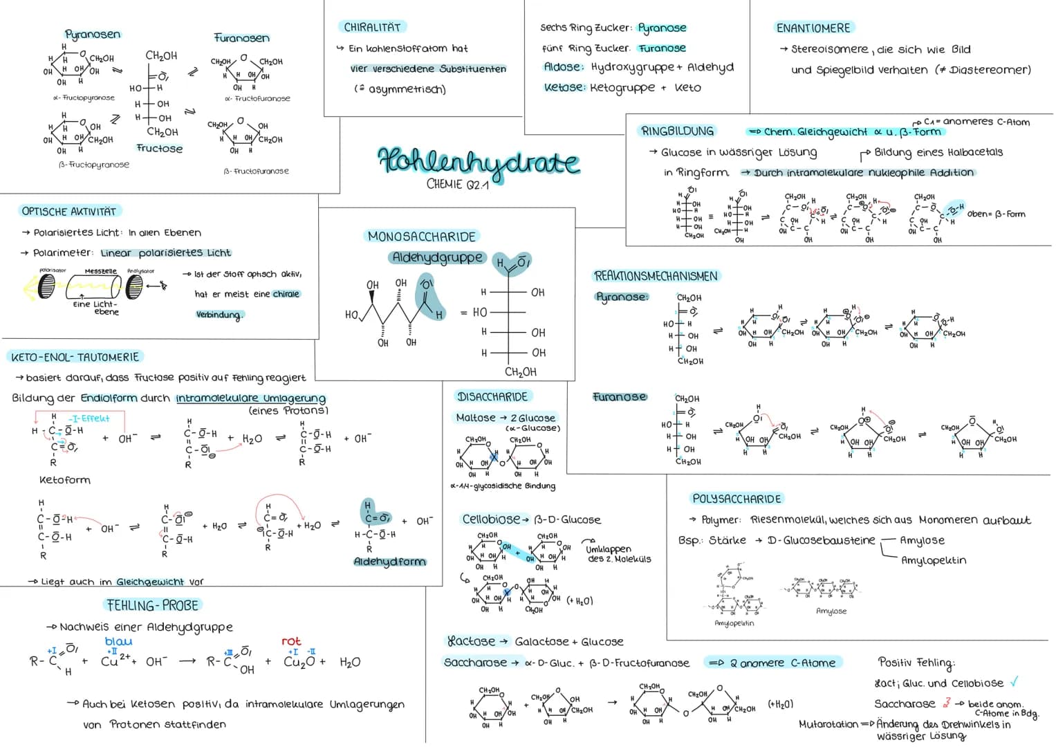 Pyranosen
O
он H OH OH
OH H
d-Fructopyranose
H CH₂OH
H
Z
-O,OH
HH
OHH OH CH₂OH
OH H
3-Fructopyranose
OPTISCHE AKTIVITÄT
polarisator
H
C-0³H
