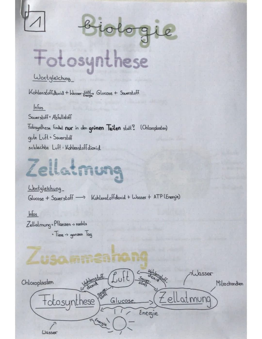 Biologie
Fotosynthese
^
Wortgleichung
Kohlenstoffdioxid + Wasser Licht, Glucose + Sauerstoff
Energie
Infos
Sauerstoff Abfallstoff
Fotosynthe
