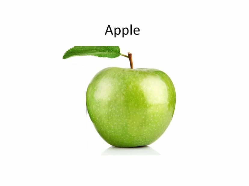 Lecture
Hey guys,
Today I'll talk about Apple, but wait that isn't Apple, that's an Apple, but not Apple. Ah that's Apple.
Okay that's Apple