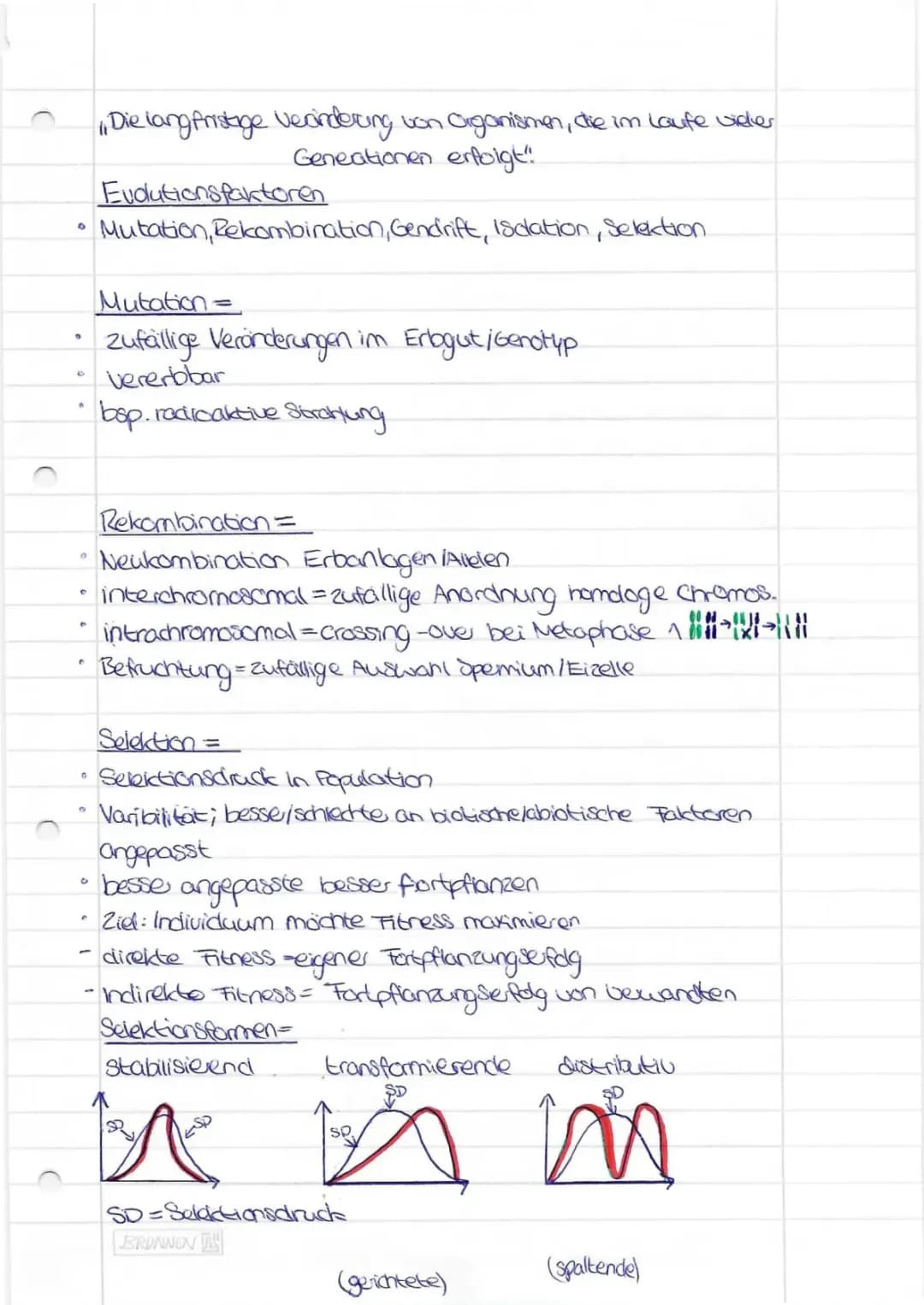 Q4 Evolution (auch Leistungskurs)