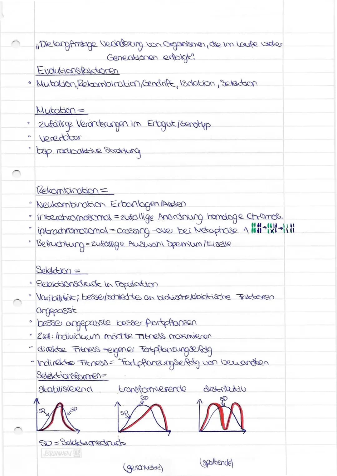 0
D
4
0
C
Die langfristige Vecindering von Organismen, die im Laufe vieler
Geneationen erfolgt!!
Evolutionsfaktoren
Mutation, Rekombination,