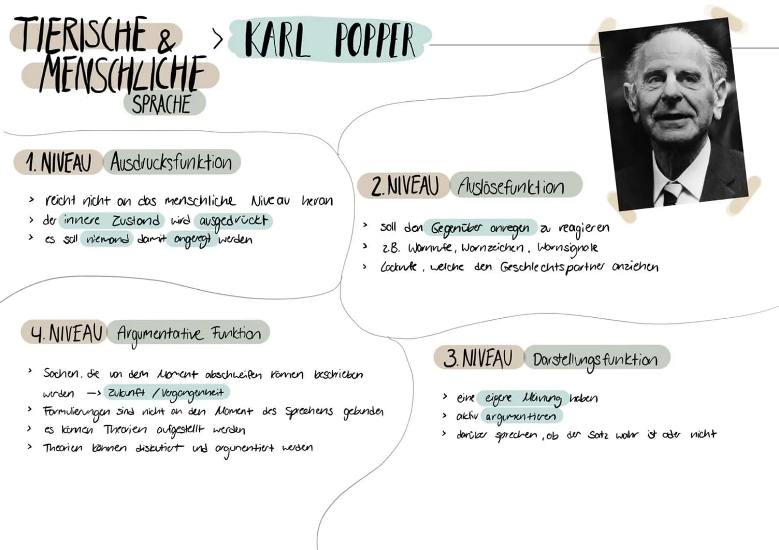 TIERISCHE & > KARL POPPER
MENSCHLICHE
SPRACHE
1. NIVEAU Ausdrucksfunktion
> reicht nicht an das menschliche Niveau heran
> der innere Zustan