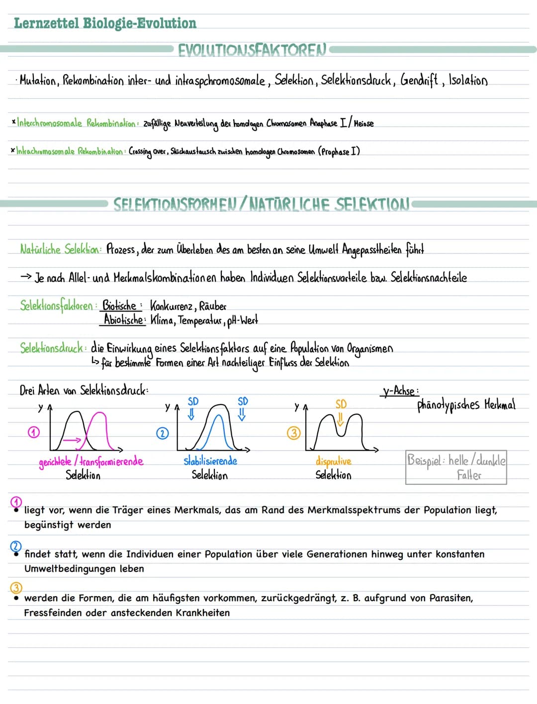 Lernzettel Biologie-Evolution
EVOLUTIONSFAKTOREN
Mutation, Rekombination inter- und intraspchromosomale, Selektion, Selektionsdruck, Gendrif