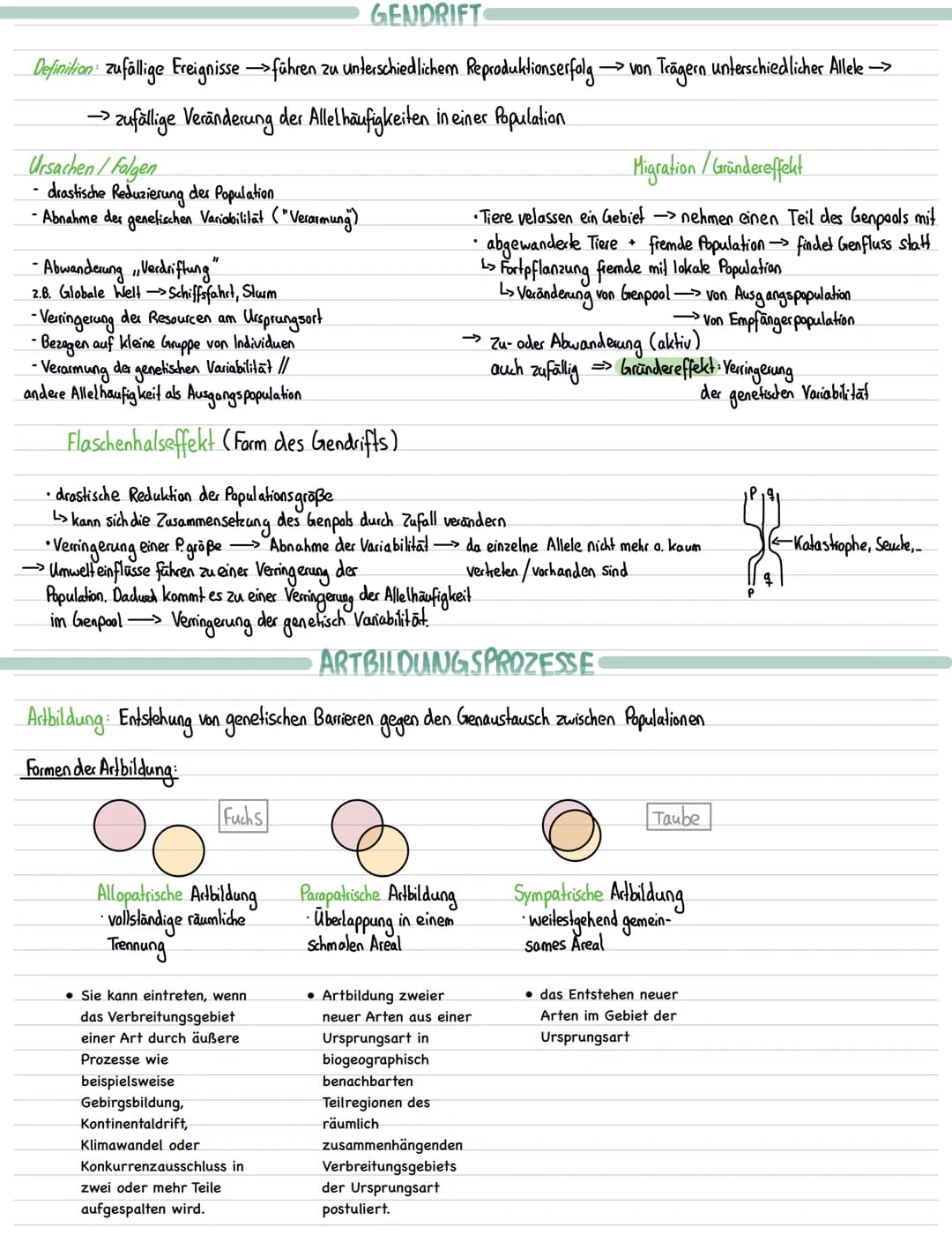 Lernzettel Biologie-Evolution
EVOLUTIONSFAKTOREN
Mutation, Rekombination inter- und intraspchromosomale, Selektion, Selektionsdruck, Gendrif