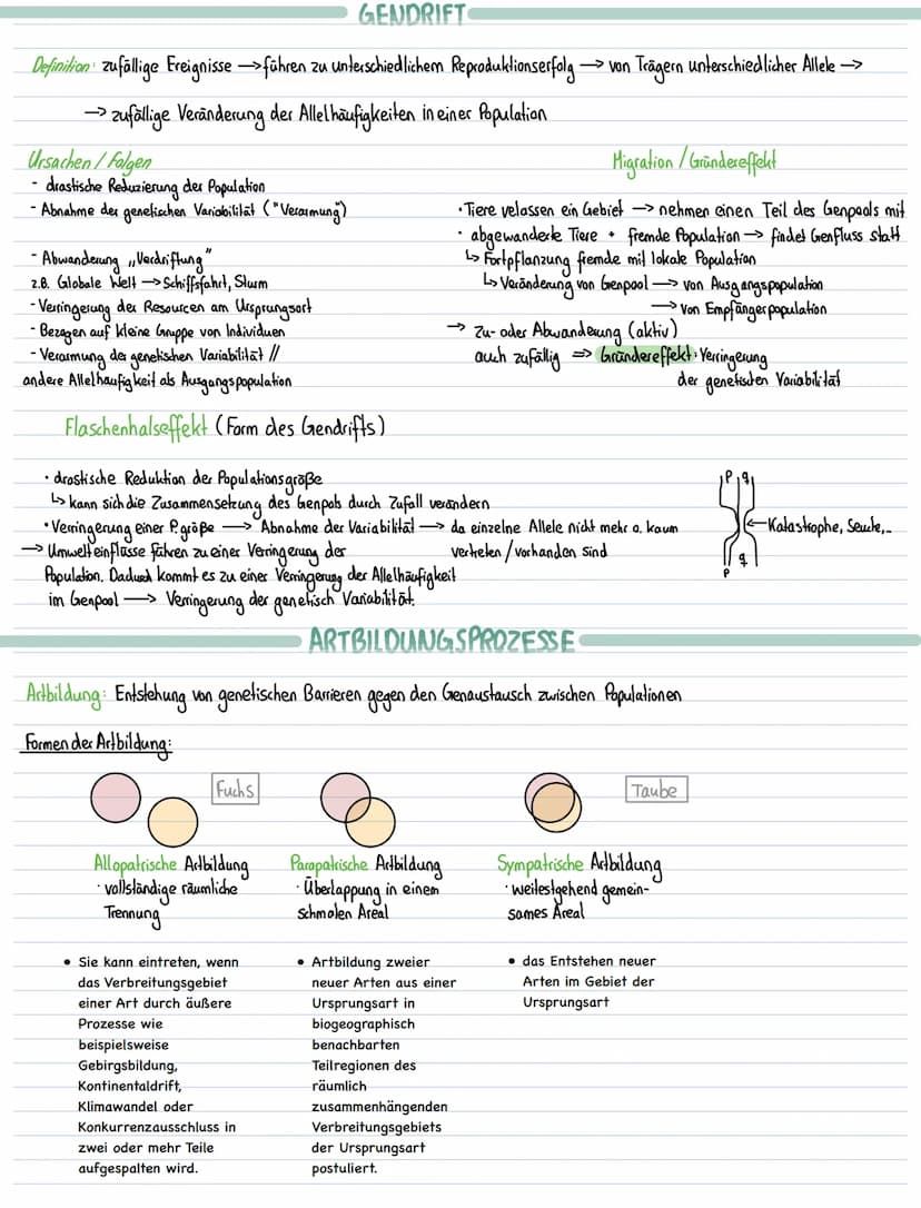 Lernzettel Biologie-Evolution
EVOLUTIONSFAKTOREN
Mutation, Rekombination inter- und intraspchromosomale, Selektion, Selektionsdruck, Gendrif