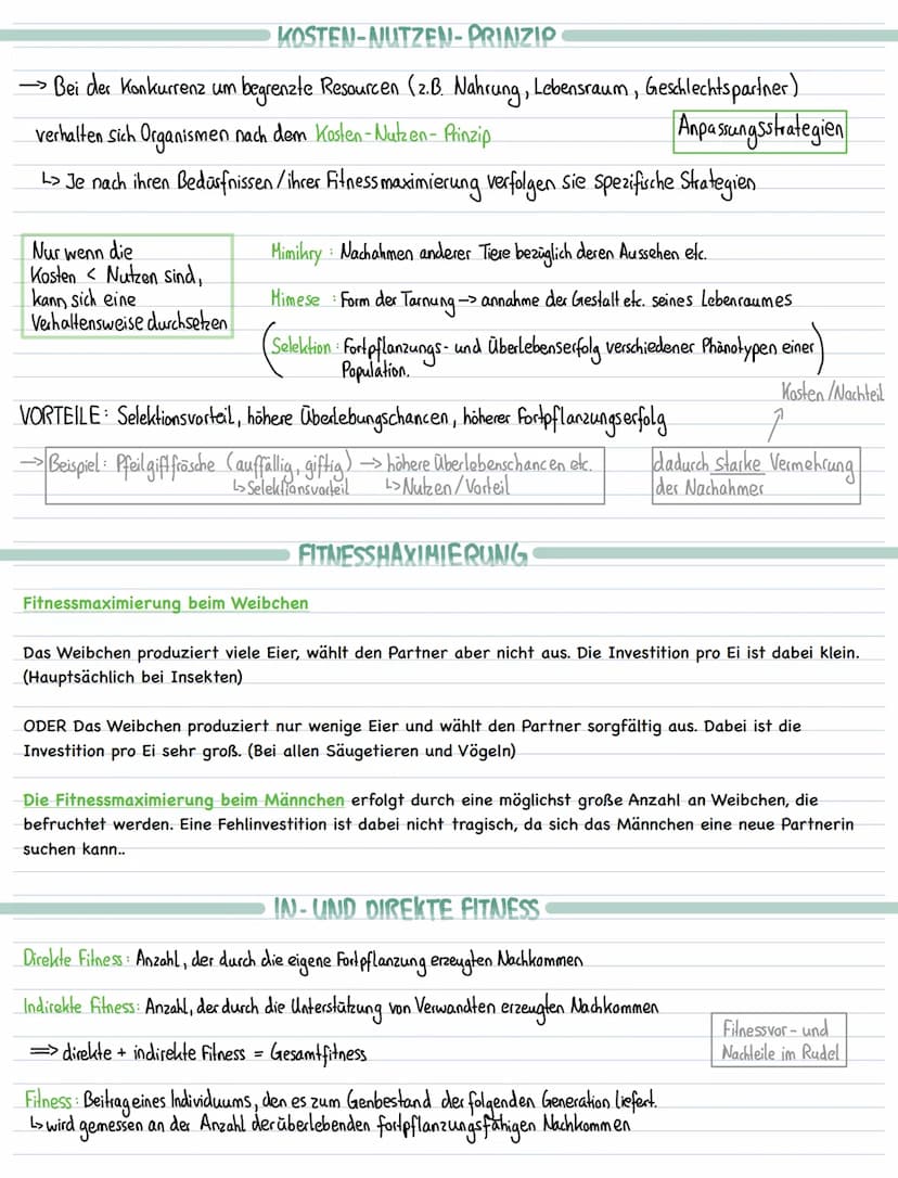 Lernzettel Biologie-Evolution
EVOLUTIONSFAKTOREN
Mutation, Rekombination inter- und intraspchromosomale, Selektion, Selektionsdruck, Gendrif