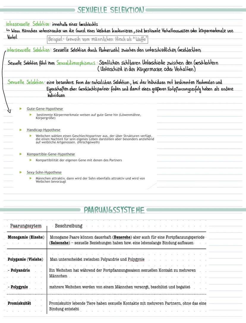 Lernzettel Biologie-Evolution
EVOLUTIONSFAKTOREN
Mutation, Rekombination inter- und intraspchromosomale, Selektion, Selektionsdruck, Gendrif