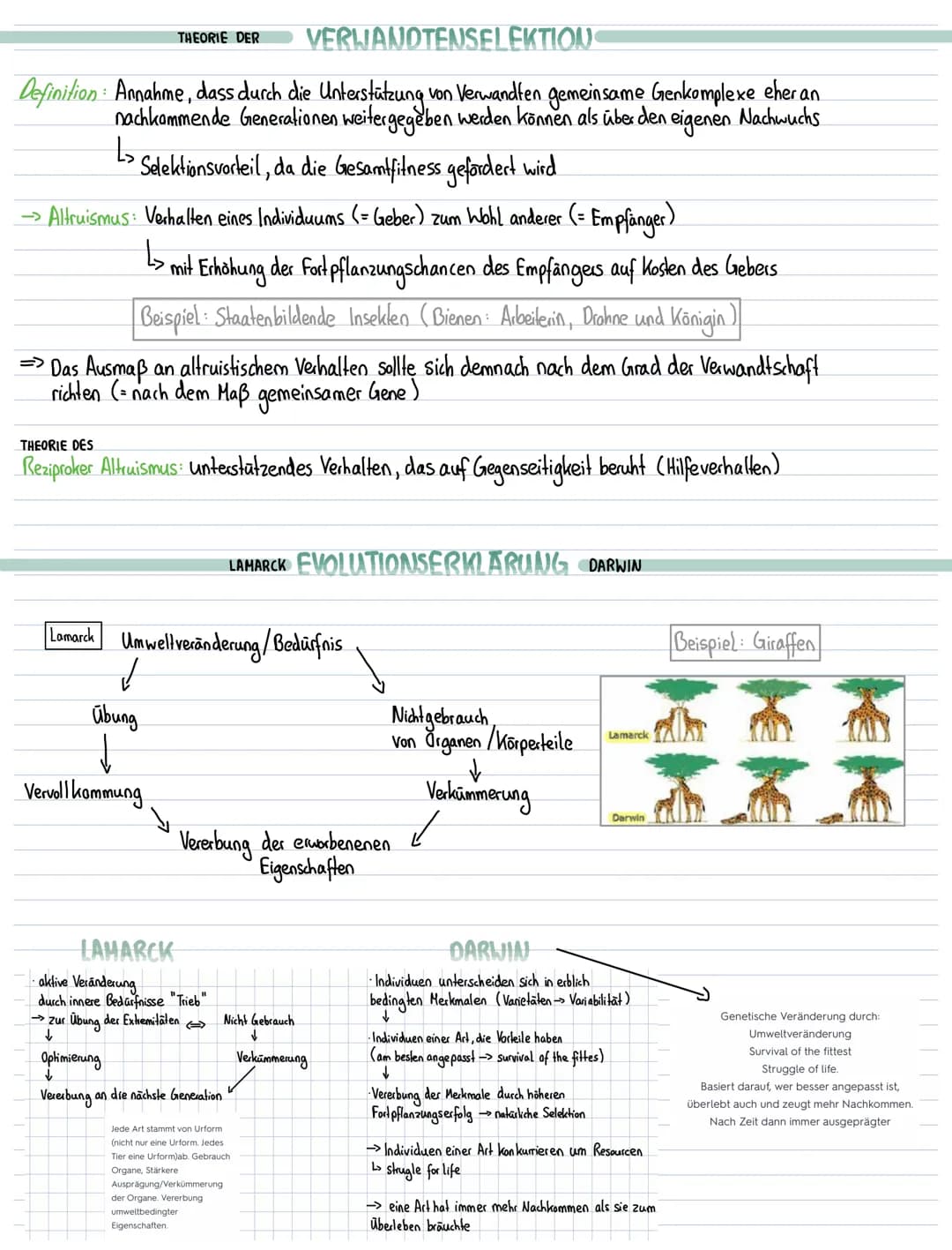 Lernzettel Biologie-Evolution
EVOLUTIONSFAKTOREN
Mutation, Rekombination inter- und intraspchromosomale, Selektion, Selektionsdruck, Gendrif