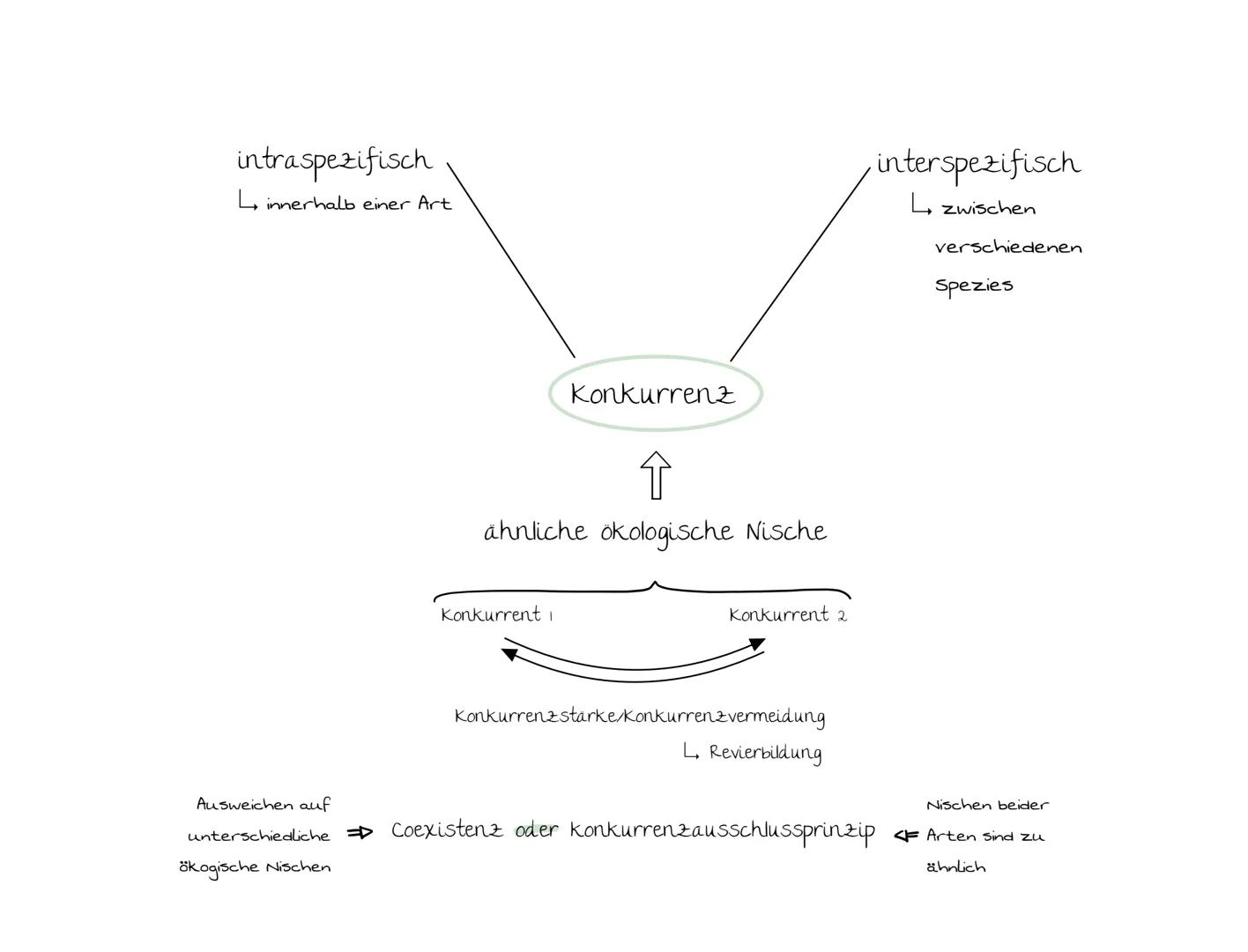 Biologie LK
Abiturvorbereitung abitur.nrw
Leistungskurs
Genetik
Meiose und Rekombination
Analyse von Familienstammbäu-
men
Proteinbiosynthes