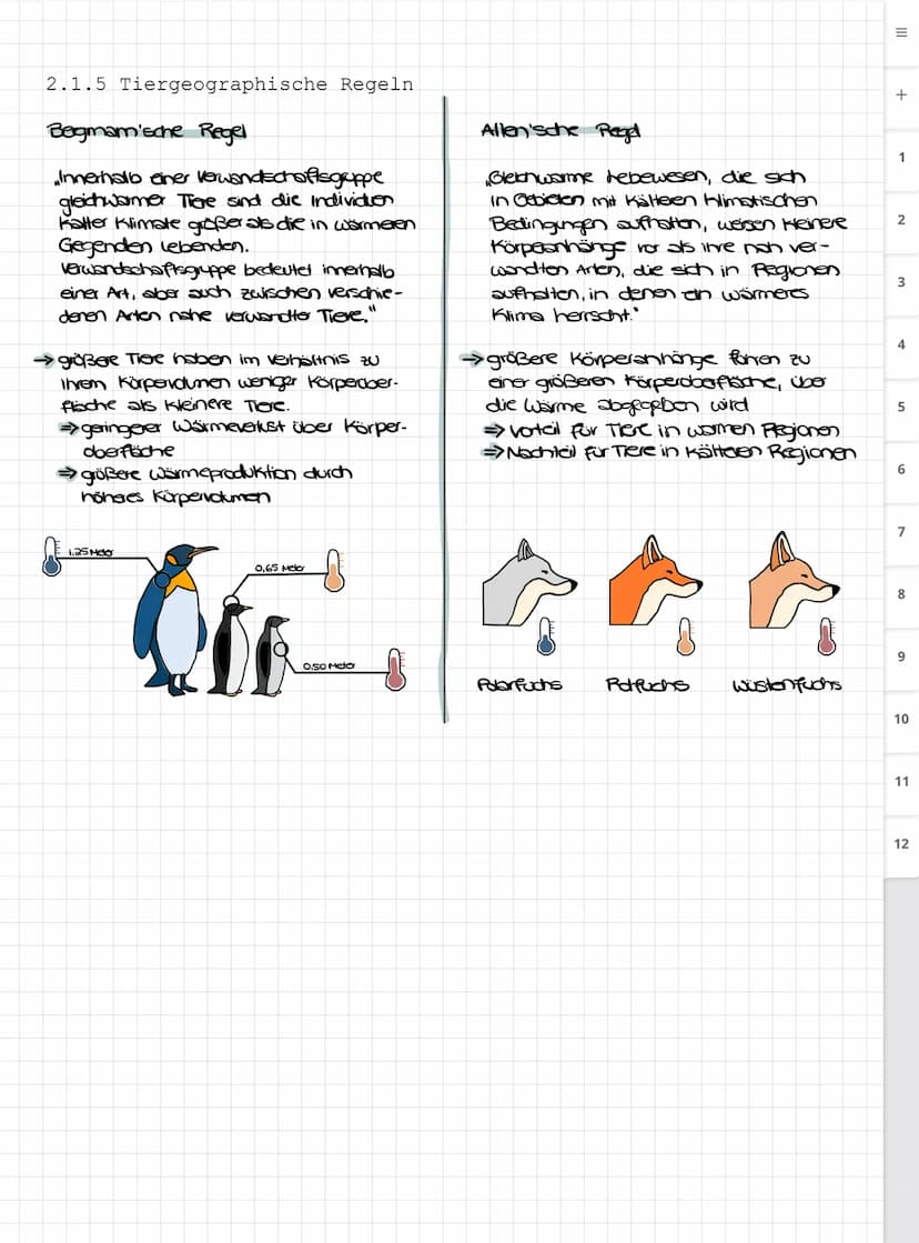 Biologie LK
Abiturvorbereitung abitur.nrw
Leistungskurs
Genetik
Meiose und Rekombination
Analyse von Familienstammbäu-
men
Proteinbiosynthes