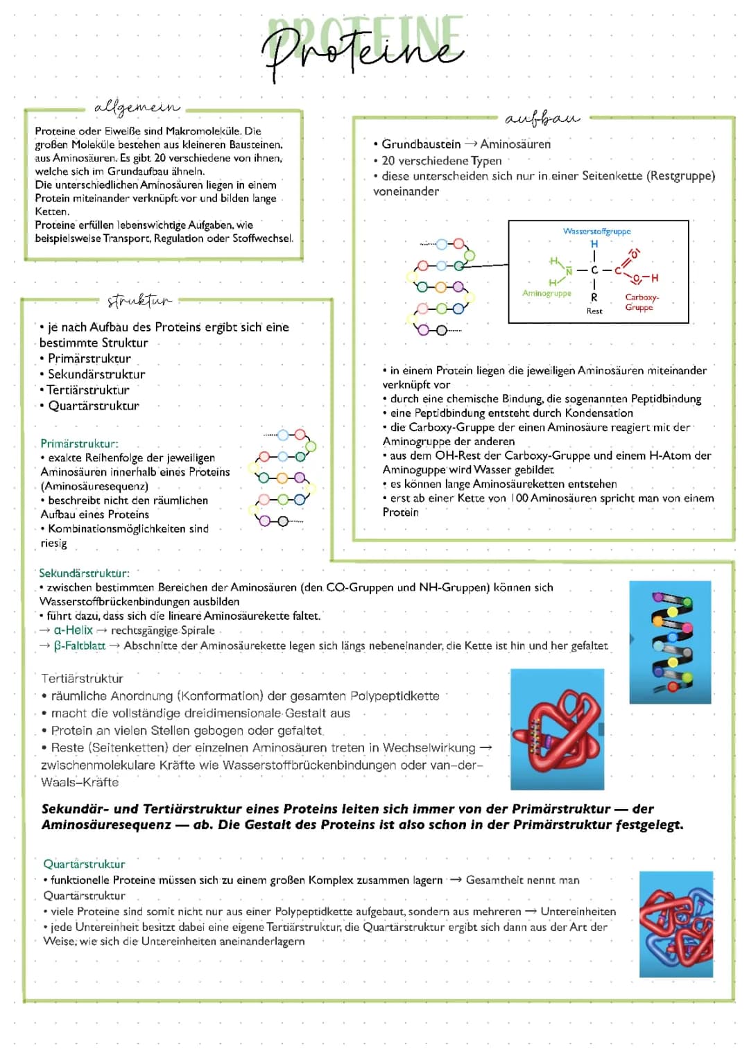 Proteine