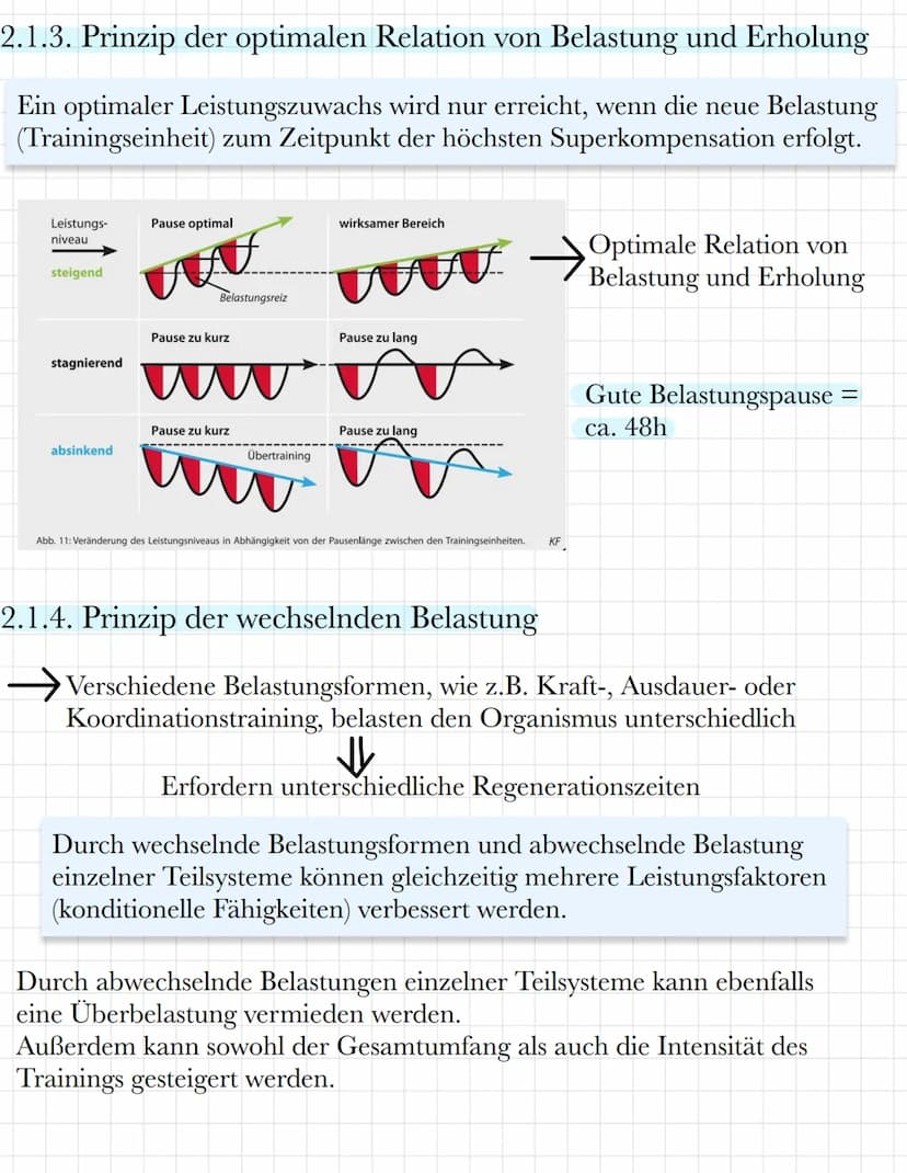 Sport
Marlene Kraut
K1 Klausur Nr. 1
(Thema 1-4)
Trainingsgesetze, Trainingsprinzipien und Ausdauer
1. Trainingsgesetze
1.1. Homöostase und 
